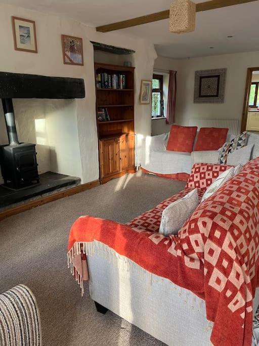 Bryn Rhedyn Cottage Cwm-y-glo Kültér fotó