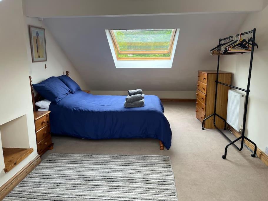 Bryn Rhedyn Cottage Cwm-y-glo Kültér fotó