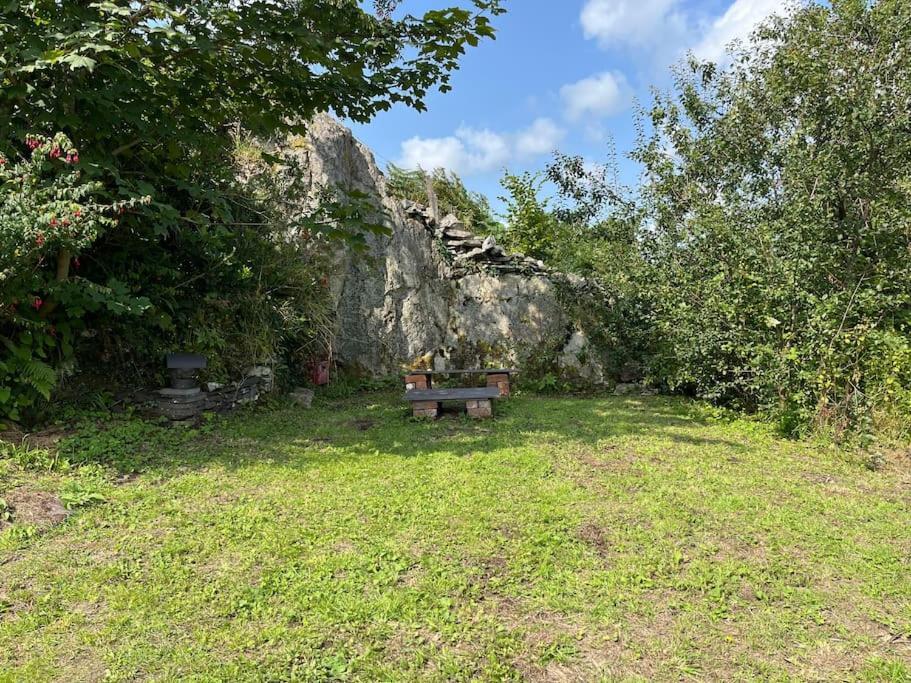 Bryn Rhedyn Cottage Cwm-y-glo Kültér fotó