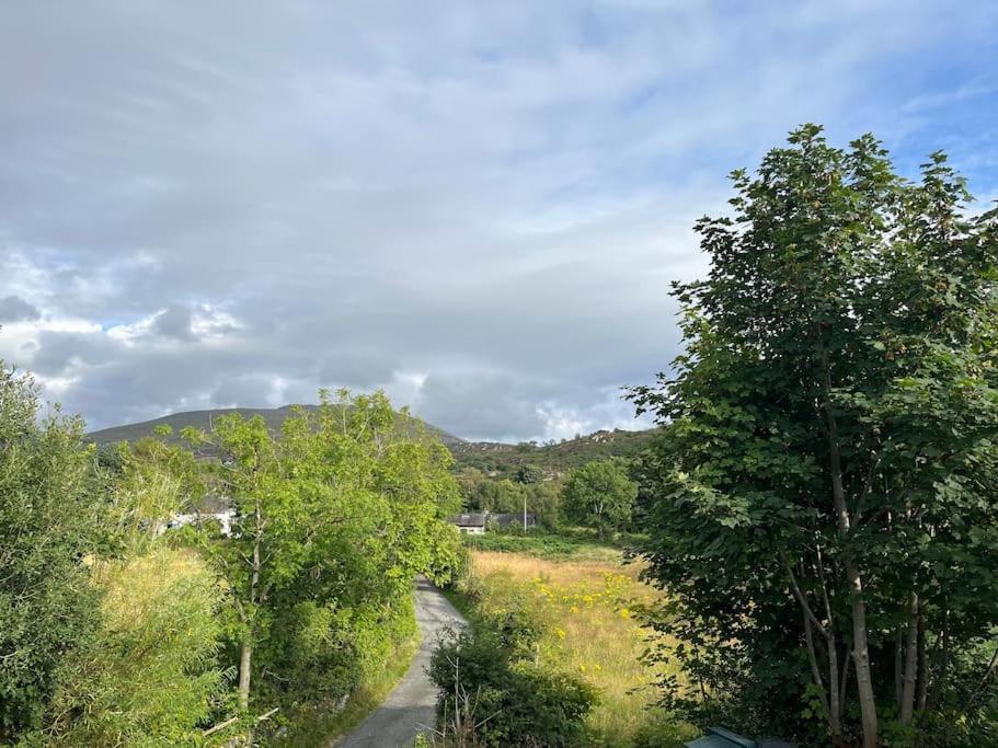 Bryn Rhedyn Cottage Cwm-y-glo Kültér fotó